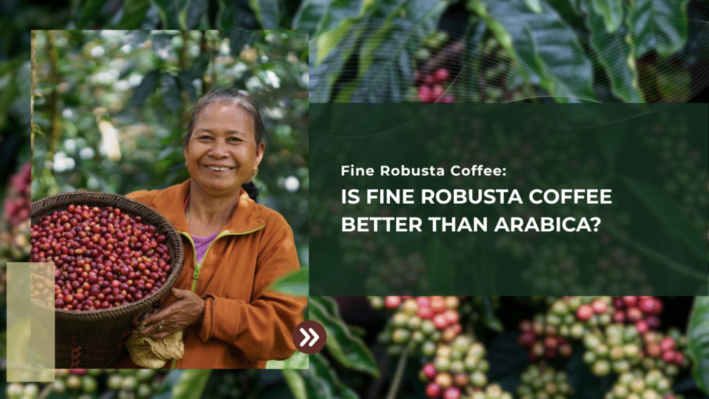 Is Fine Robusta Coffee Better Than Arabica?