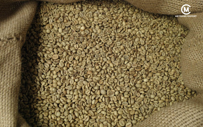 Is Fine Robusta Coffee Better Than Arabica?