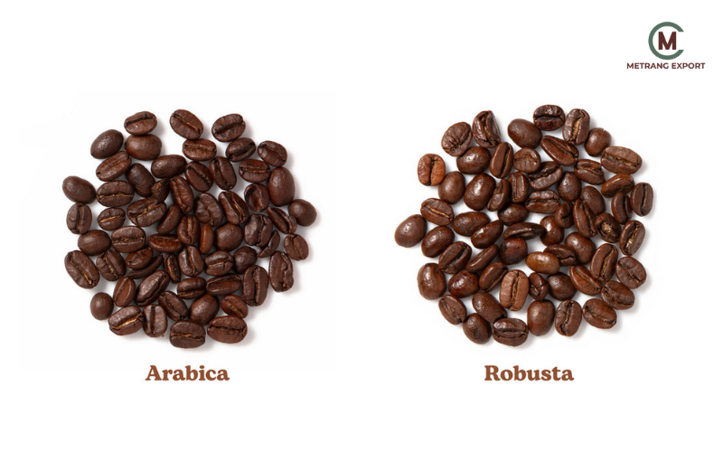 Làn Sóng Fine Robusta Coffee Liệu Có Soán Ngôi Arabica?