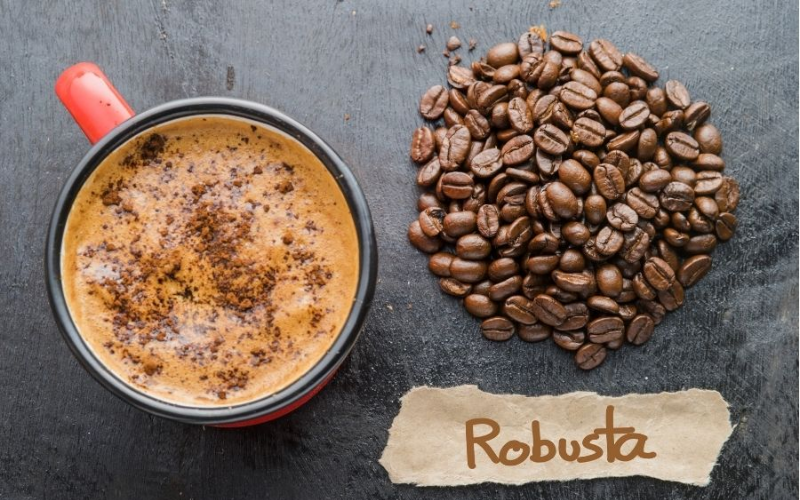 Is Fine Robusta Coffee Better Than Arabica?