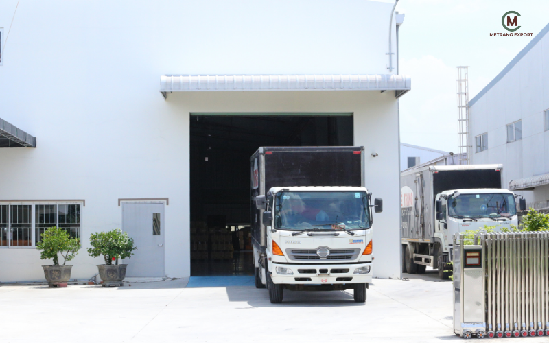 Giá Cà Phê Nhân Xanh: Những Sai Lầm Gây Lỗ Khi Thu Mua