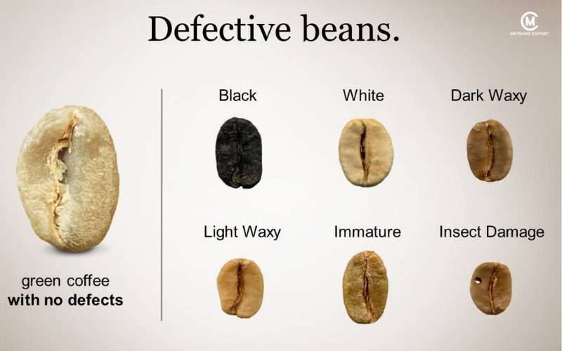 Green Coffee Price: Procurement Errors That Drain Profits