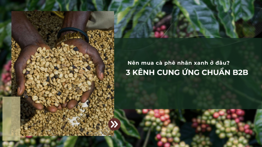 Nên mua cà phê nhân xanh ở đâu? 3 kênh cung ứng chuẩn B2B