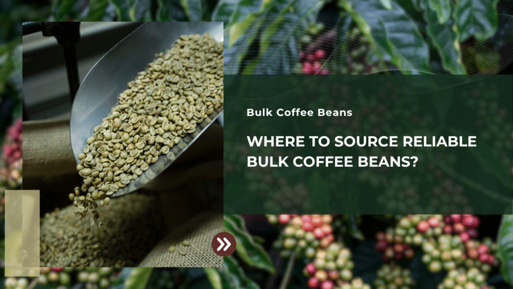 Where to source reliable bulk coffee beans?