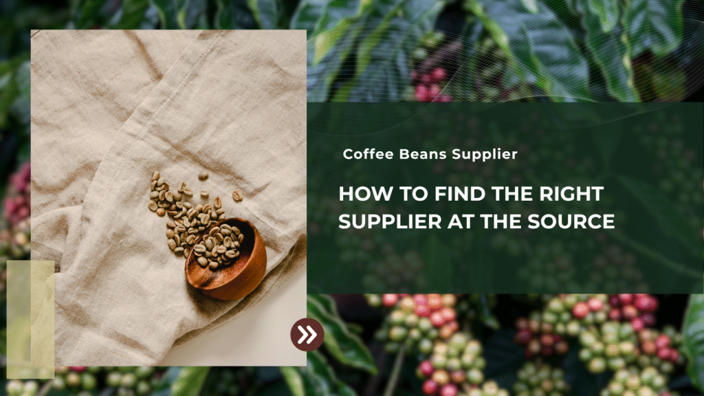 How To Find The Right Coffee Beans Supplier At The Source?