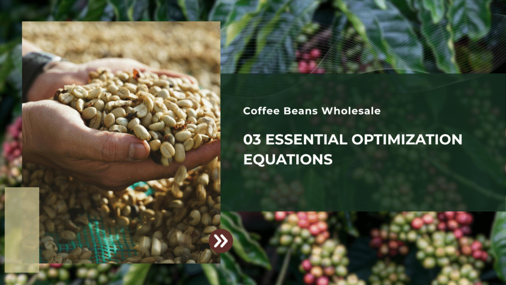 Coffee Beans Wholesale: 03 Essential Optimization Equations