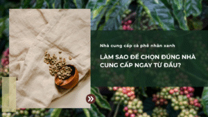 Làm sao chọn đúng nhà cung cấp cà phê nhân xanh ngay từ đầu?