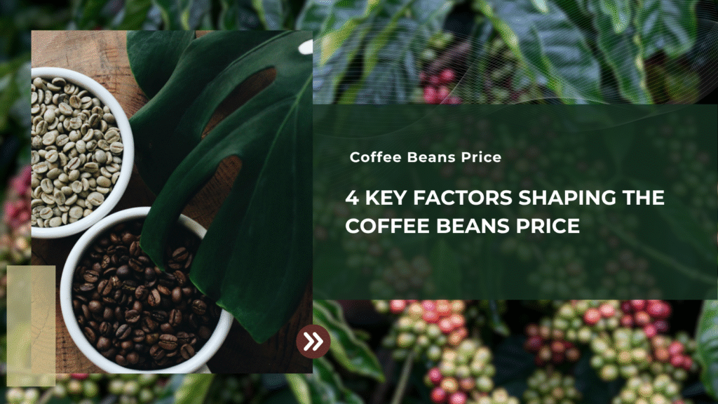 4 key factors shaping the coffee beans price