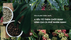4 yếu tố then chốt định hình giá cà phê nhân xanh