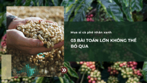 Mua Sỉ Cà Phê Nhân Xanh: 3 Bài Toán Lớn Không Thể Bỏ Qua
