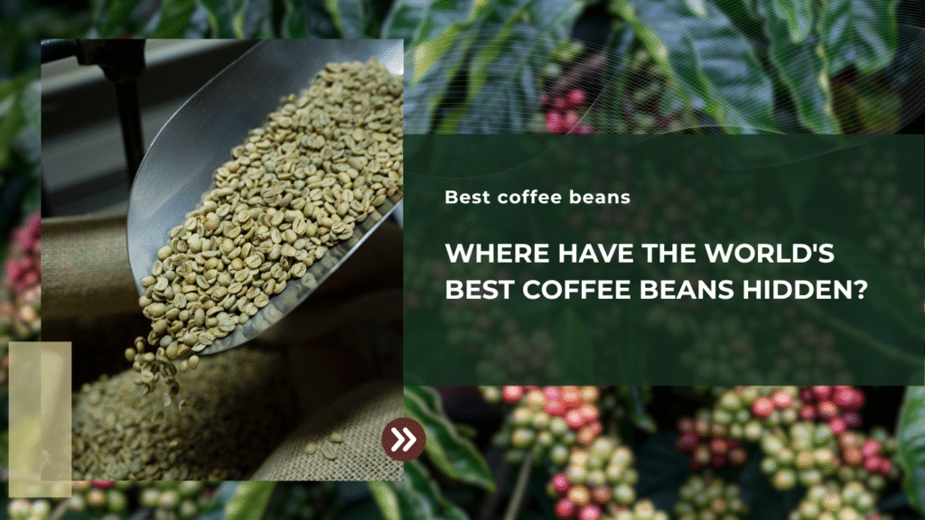 Where have the world's best coffee beans hidden?