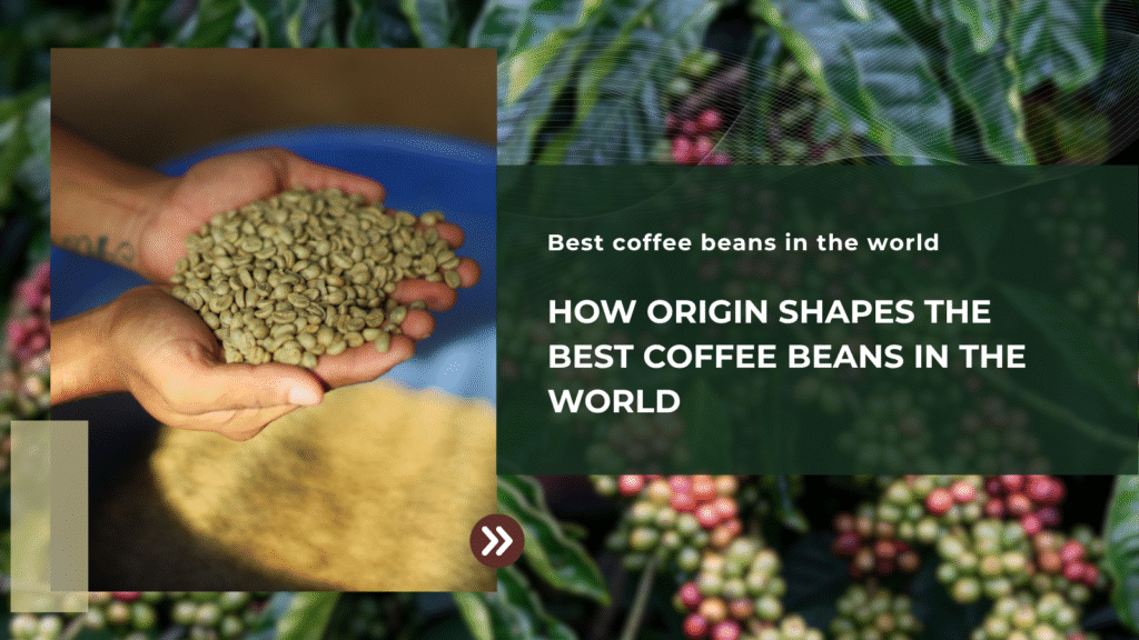 How Origin Shapes The Best Coffee Beans In The World