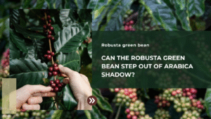 Can The Robusta Green Bean Step Out Of Arabica Shadow?