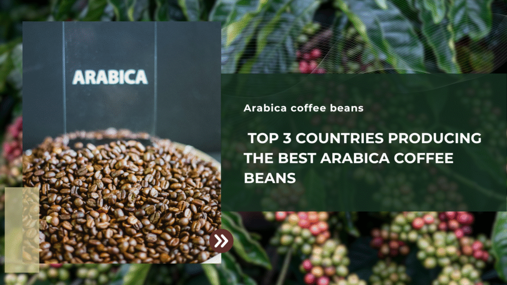 Top 3 Countries Producing the Best Arabica Coffee Beans