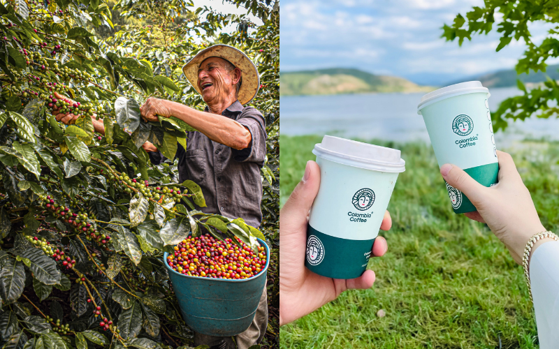  Top 3 Countries Producing the Best Arabica Coffee Beans