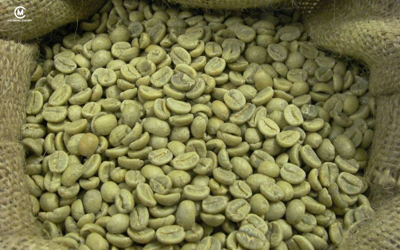 Cà phê Arabica là gì, vì sao được cả thế giới săn đón? 