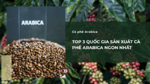 Top 3 Quốc Gia Sản Xuất Cà Phê Arabica Ngon Nhất