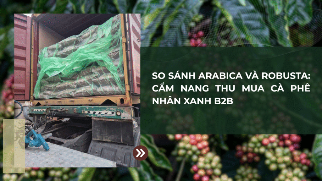 So Sánh Arabica và Robusta: Cẩm Nang Thu Mua Cà Phê Nhân Xanh B2B