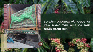 So Sánh Arabica và Robusta: Cẩm Nang Thu Mua Cà Phê Nhân Xanh B2B