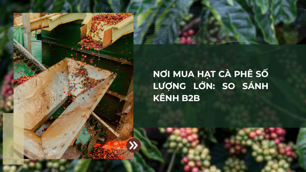 Cà phê nhân xanh dùng cho Espresso: Hướng dẫn nhập hàng sỉ từ Me Trang Export