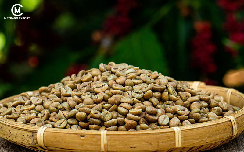 Mẫu cà phê nhân đồng đều đựng trong giỏ tre.