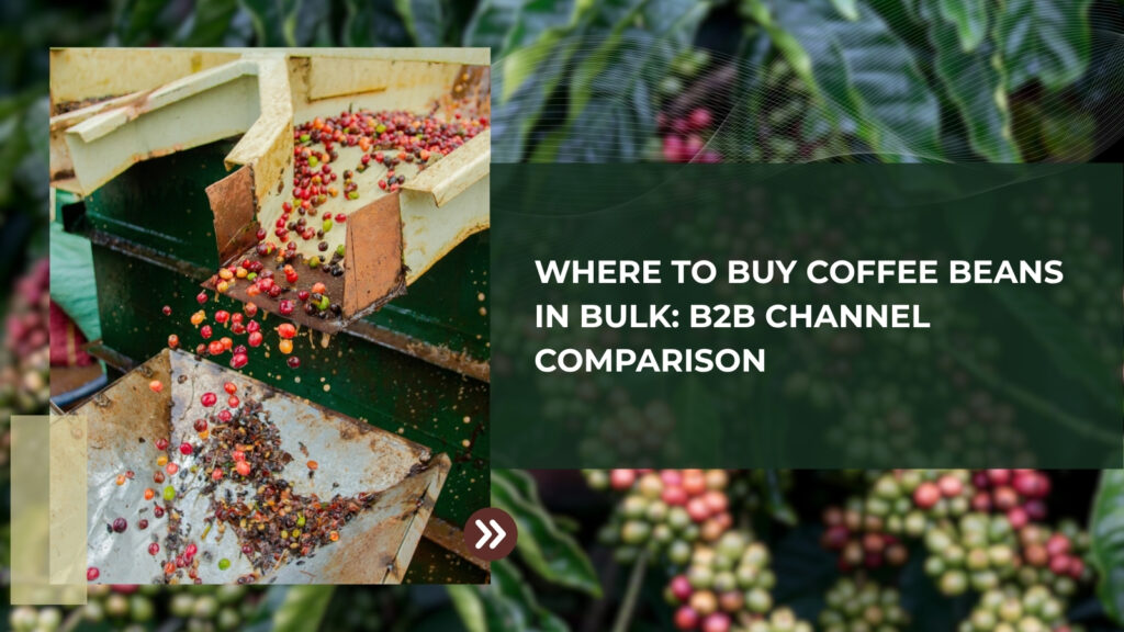 Where to Buy Coffee Beans in Bulk: B2B Channel Comparison